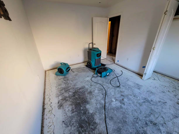 Best Water damage restoration near me  in York, PA