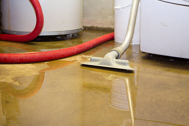 Best Water damage restoration near me  in York, PA