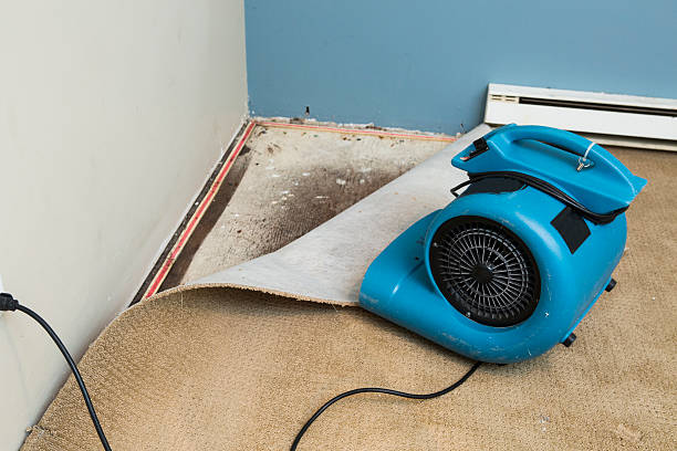 Best Water damage repair service  in York, PA
